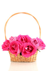 Fototapeta na wymiar Piękne różowe róże w koszyku samodzielnie na białym tle