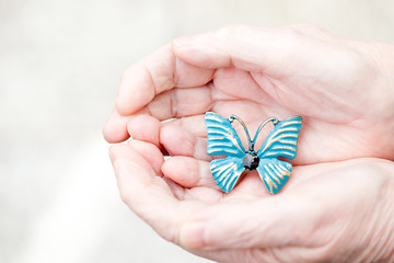 Schmetterling in der Hand
