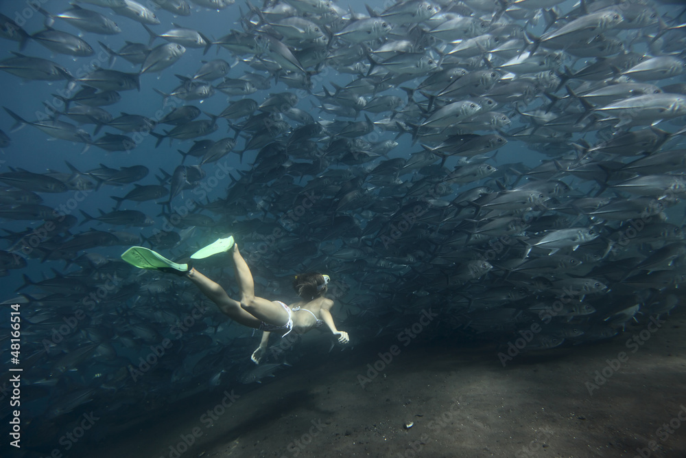 Wall mural Underwater