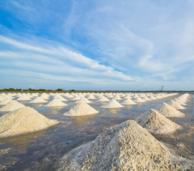 Salt fields in thailand