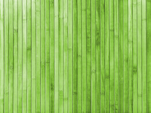 Fototapeta bambus