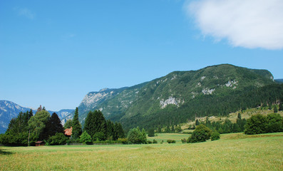 Obraz premium Valley at Stara Fuzina