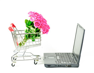 Retail Shopping Cart with PC