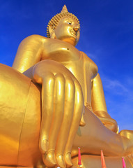 Giant buddha statue at Wat muang, Thailand