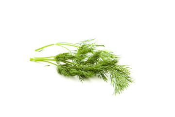 Grüner Dill