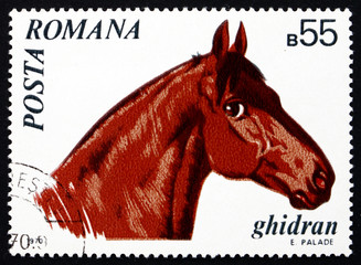 Postage stamp Romania 1970 Ghidran, Horse