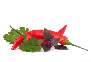Hot red chili or chilli pepper and aromatic herbs leaves still l