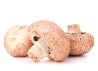 Brown champignon mushroom