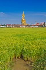 Fototapeta na wymiar Golden Buddha big statue at Wat Muang in Angthong, Thailand