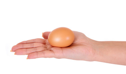 brown egg in woman hand isolated on white background