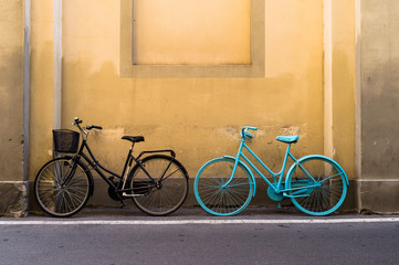 Le due biciclette