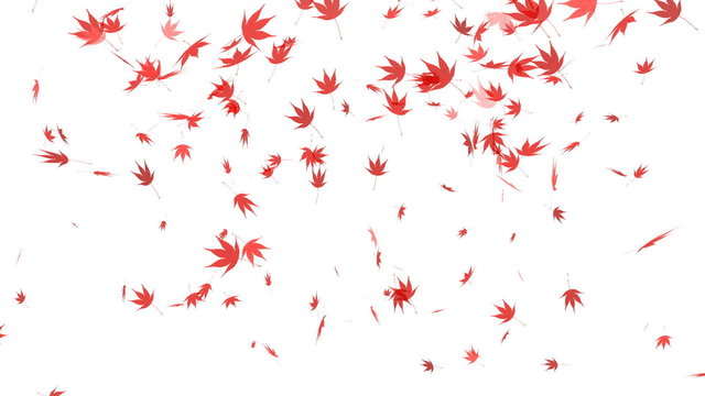 HD Loopable Falling Autumn Leaves Animation