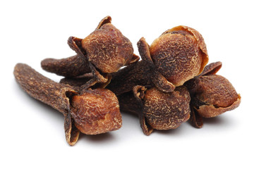 Carnation (spices) isolated on the white