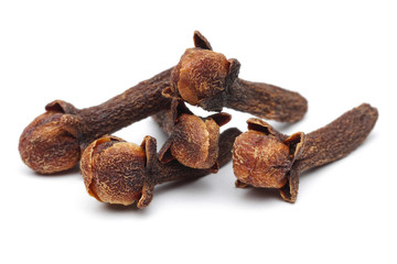 Carnation (spices) isolated on the white