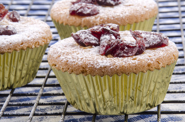 Cupcake mit organischen Preiselbeeren und Puderzucker