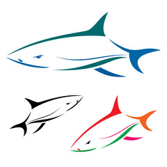 Shark