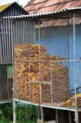 Corn storage, ideal for background