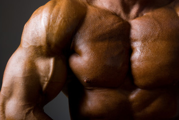 Muscular male torso on dark background