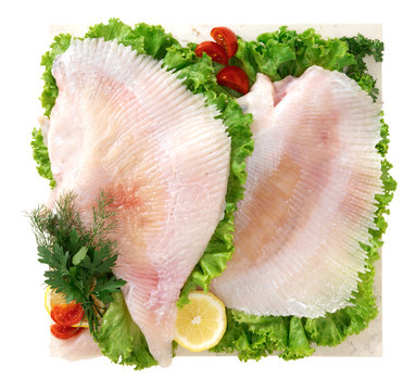 Ali di razza - Ray of fish wings