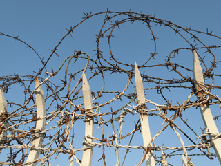 Barbed wire on sky