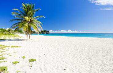 Foul Bay, Barbados, Caribbean