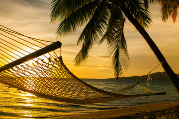 Hammock silhouette with palm trees on a beach at sunset