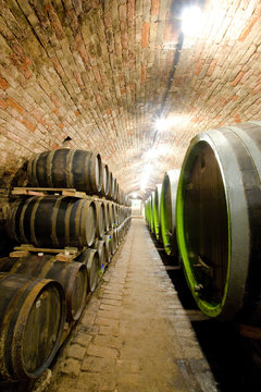 wine cellar, Czech Republic