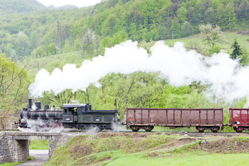 Obraz premium steam freight train (126.014), Resavica, Serbia