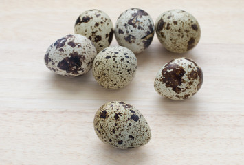 Fototapeta premium seven small quail eggs