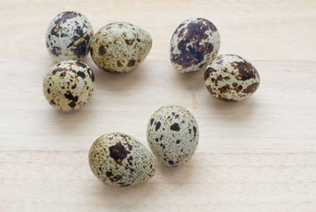 Obraz premium seven quail eggs