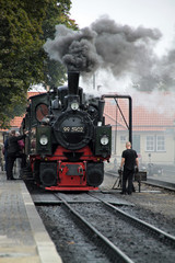 Naklejka premium Lokomotywa parowa kolei wąskotorowej Harz