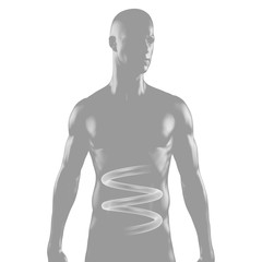 Fototapeta premium Silhouette junges Mannes mit Magen-Darm-Trakt