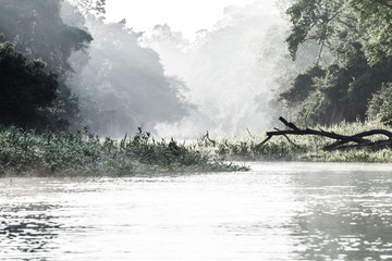 Obraz na płótnie Canvas Amazonka rano