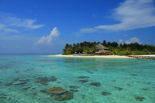 paradis