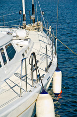 Barca a vela