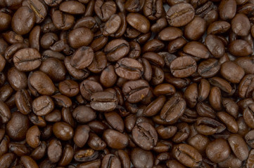 Kaffeebohnen