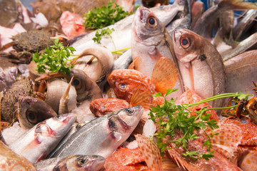 Fish Market Spain - 48189373