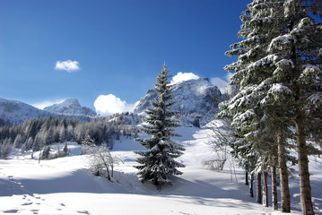 Idyllische Winterlandschaft