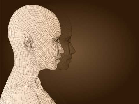 3D woman head made of beige wireframe isolated on brown