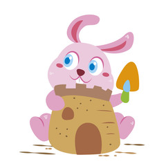 a rabbit's beach activities