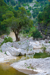 Rio Flumineddu , Gole Gorropu, Sardegna