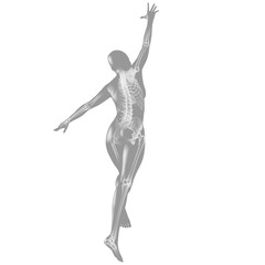 Bewegungsapparat: Silhouette mit Skelett