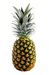 Fototapeta premium Ananas
