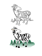 Zebra coloured and outline vector