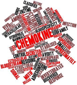 Word cloud for Chemokine