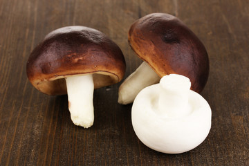 Fresh mushrooms on wooden table close-up