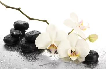 Badekurortsteine und -orchideenblumen, getrennt auf Weiß.