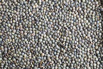 Green Lentil Background