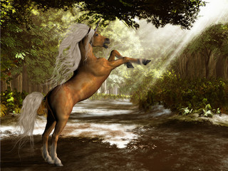 Forest Unicorn © Catmando