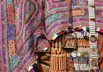 Closeup of camel decoration with stirrups,Rajasthan,India